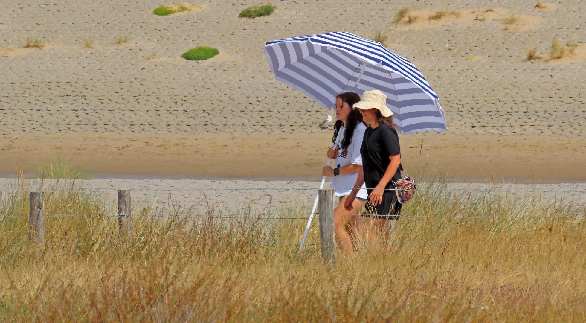 Uitzonderlijk droge juli met veel zonneschijn en hoge temperaturen