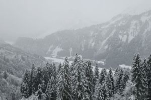 Wintersport: regionaal flinke sneeuwval in de Alpen! 