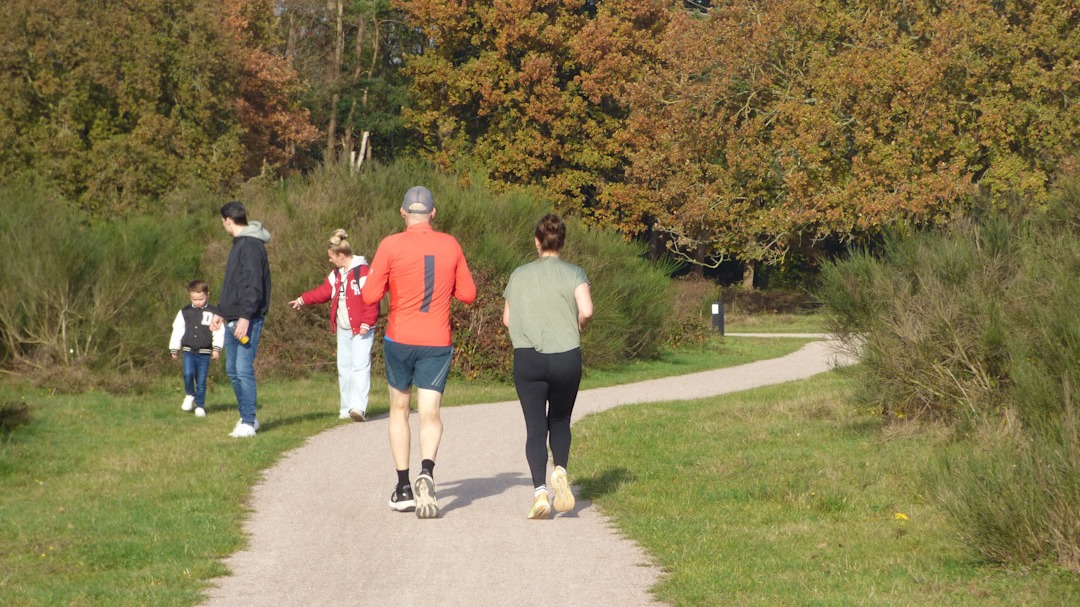 Wandelen in de zon. Foto: Chris Meewis