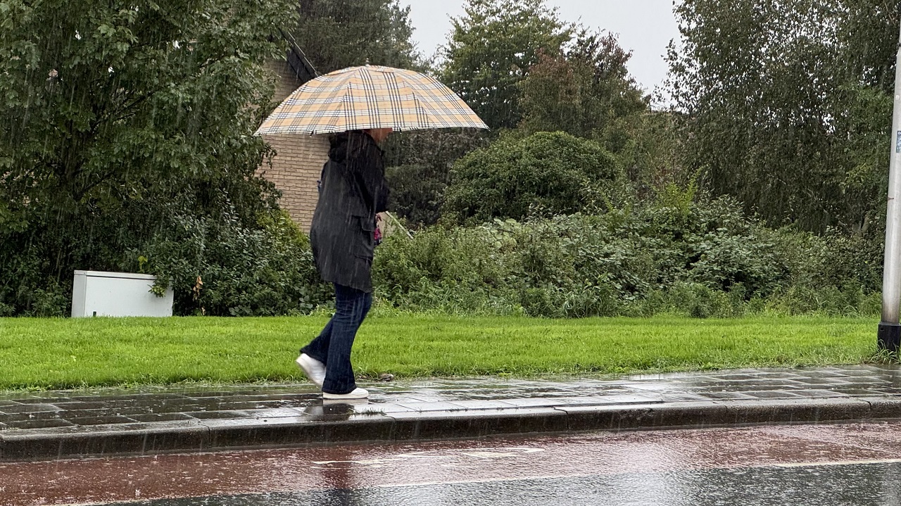 De paraplu is de laatste maanden vaak nodig. Foto: Jolanda Bakker