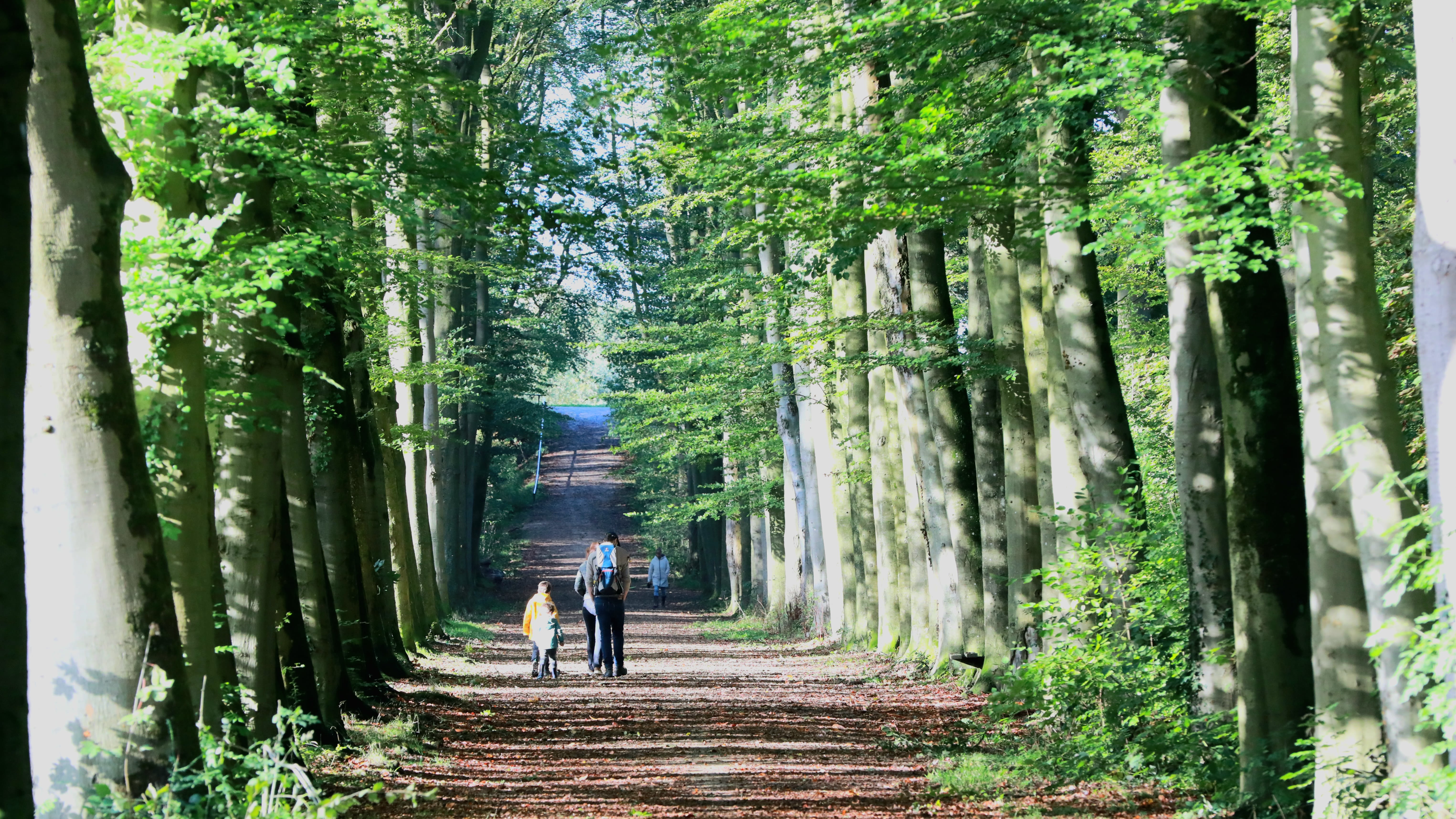 Het is deze donderdag heerlijk weer om buiten te wandelen. Foto: Ab Donker.