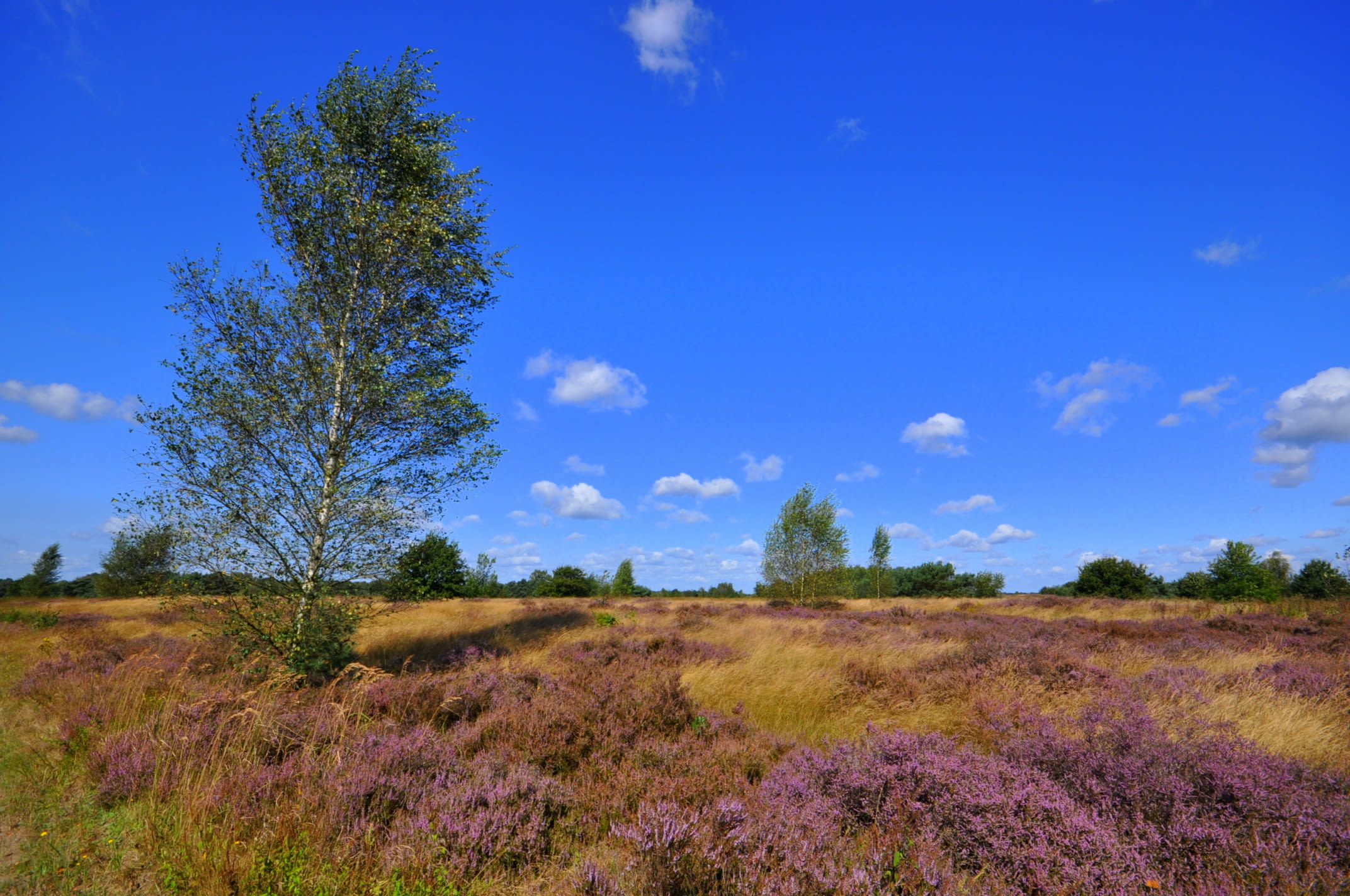 Veel ruimte voor de zon. Foto: Ben Saanen
