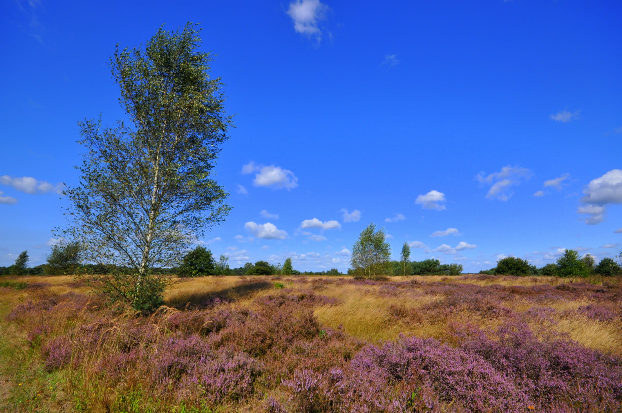 Veel ruimte voor de zon. Foto: Ben Saanen