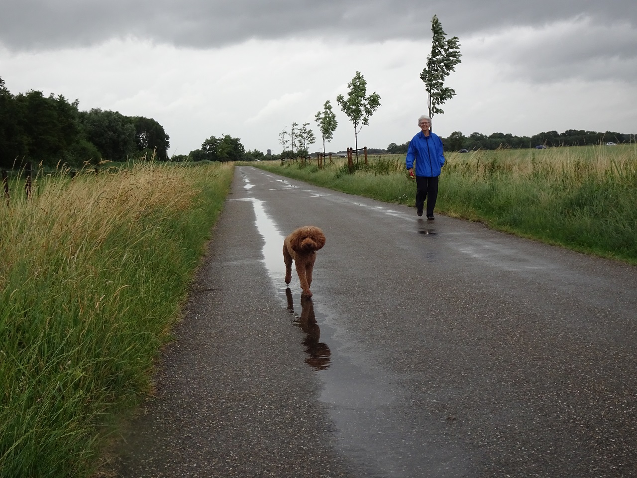 Vrouw met hond door de regen. Foto: Gerard van Vugt