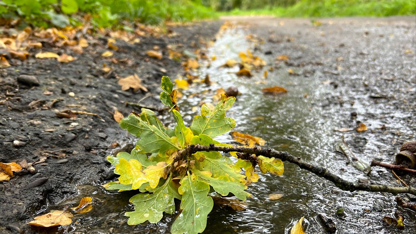 Regen in Simpelveld Limburg. Foto: Diana Huntjens