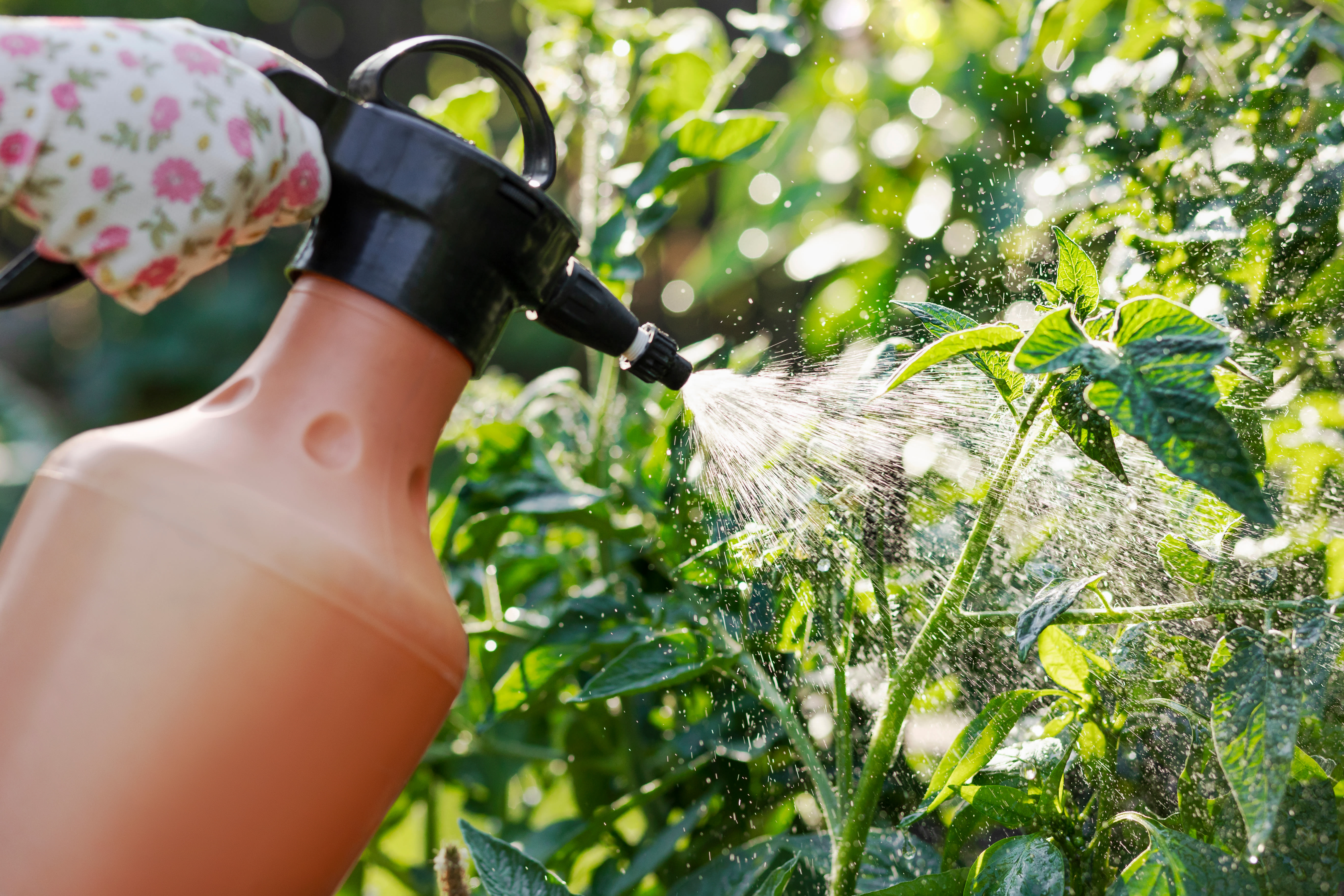Een mengsel van melk, baking soda of knoflookextract met water doet soms wonderen. Foto: Adobe Stock / Maryana.