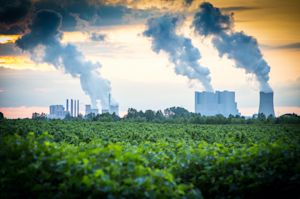 Vier manieren om CO2 uit de lucht te halen