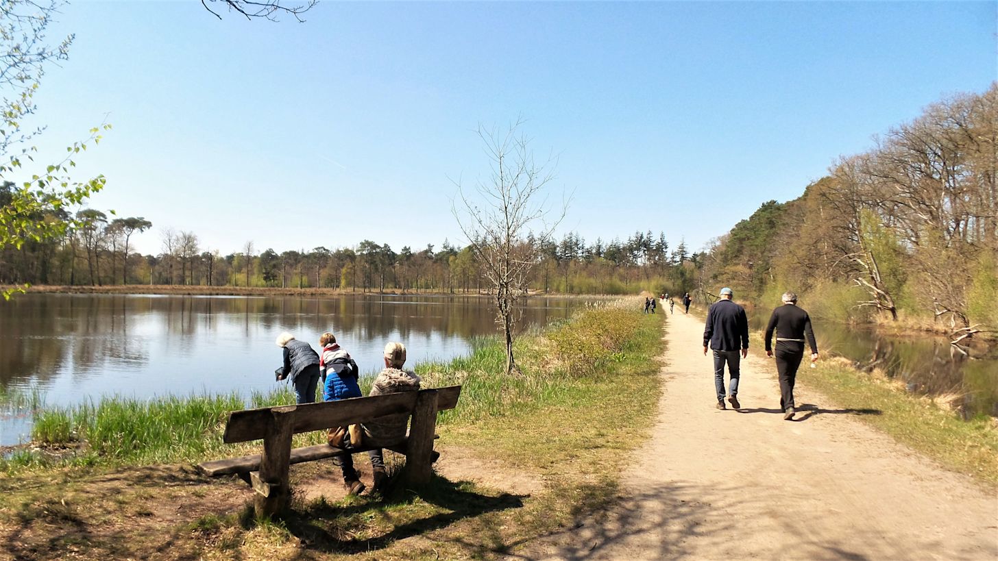 Wandelen zon Mastbos Breda meer