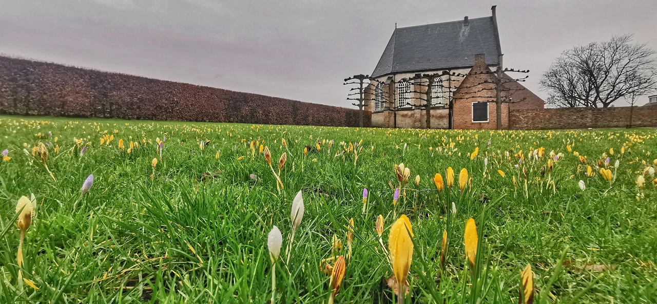 Lentekriebels in de regen. Foto: Joyce Derksen