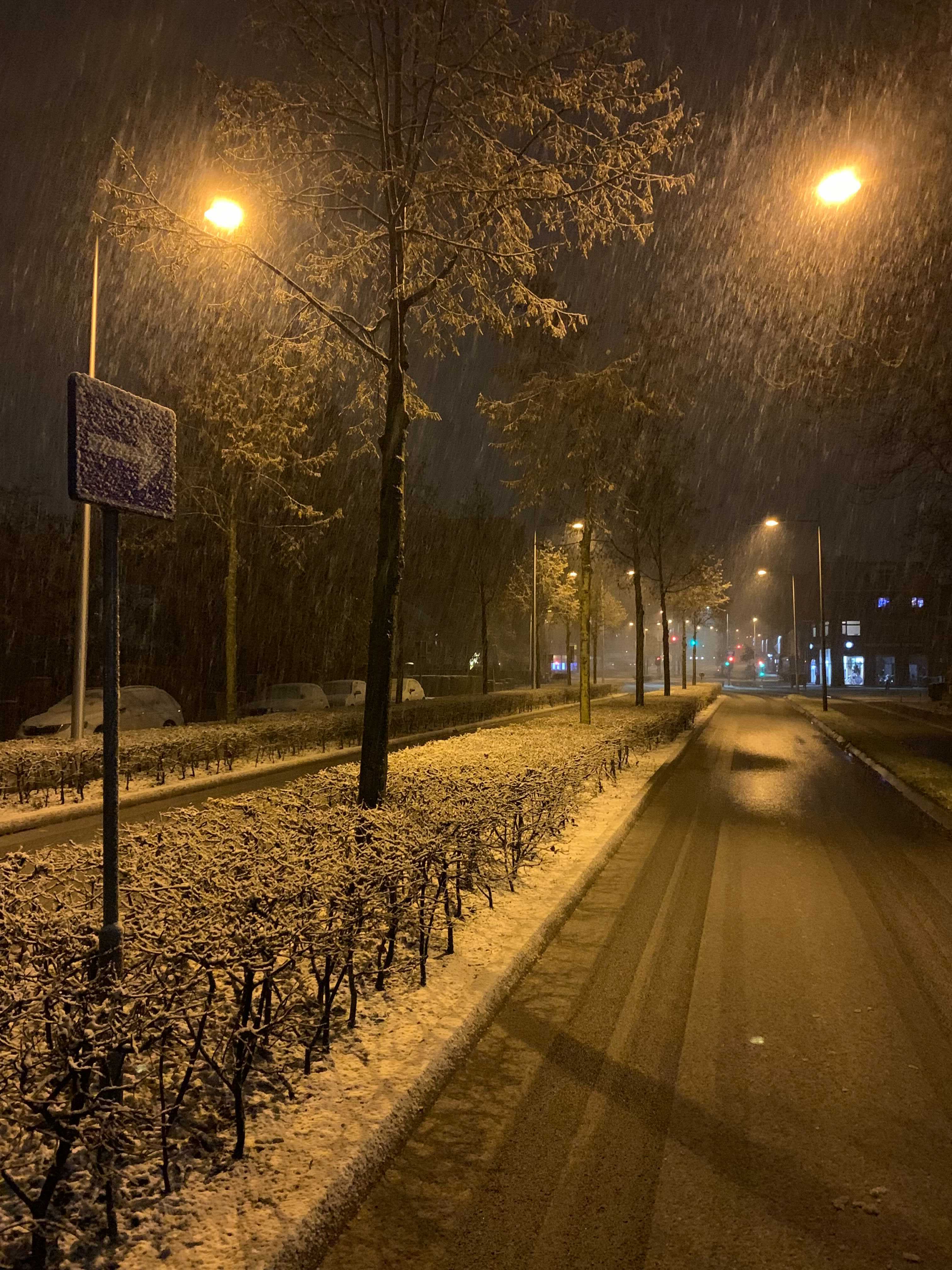 Natte sneeuw blijft deels liggen in Wageningen
