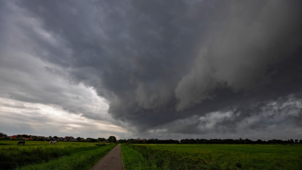 Bui bij Hellevoetsluis. Foto: Simone Genna Wiersma.