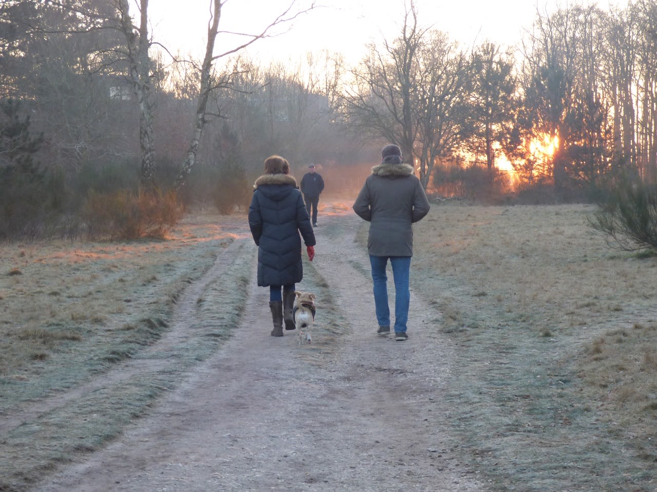 Koude nacht op komst? Foto: Chris Meewis