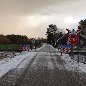 Hier komt “Maart roert zijn staart” vandaan!