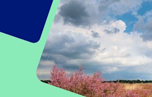 Energieweerbericht: komende dagen weinig zonne-energie
