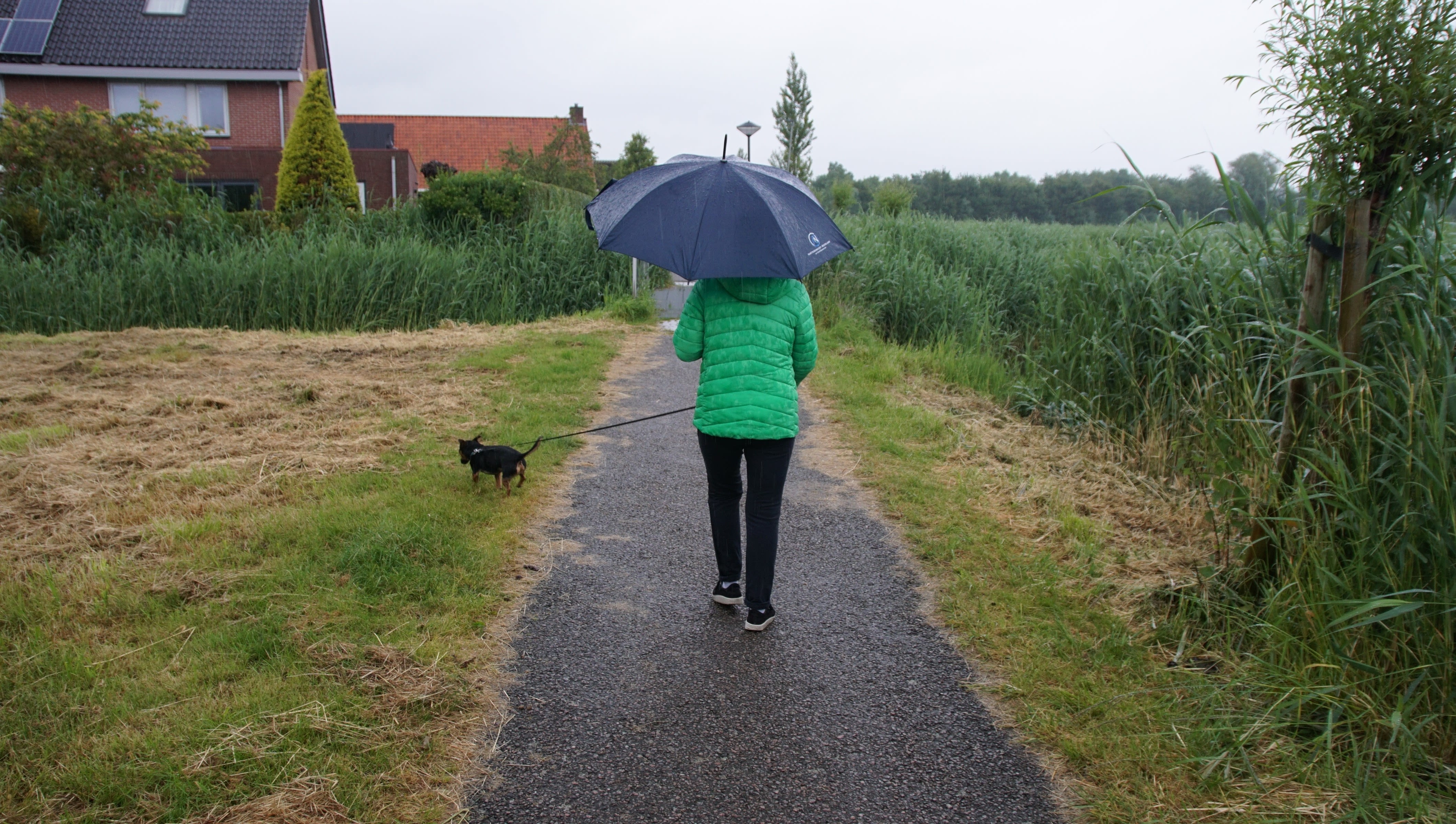 De paraplu is deze week weer regelmatig nodig. Foto: Piet Grim