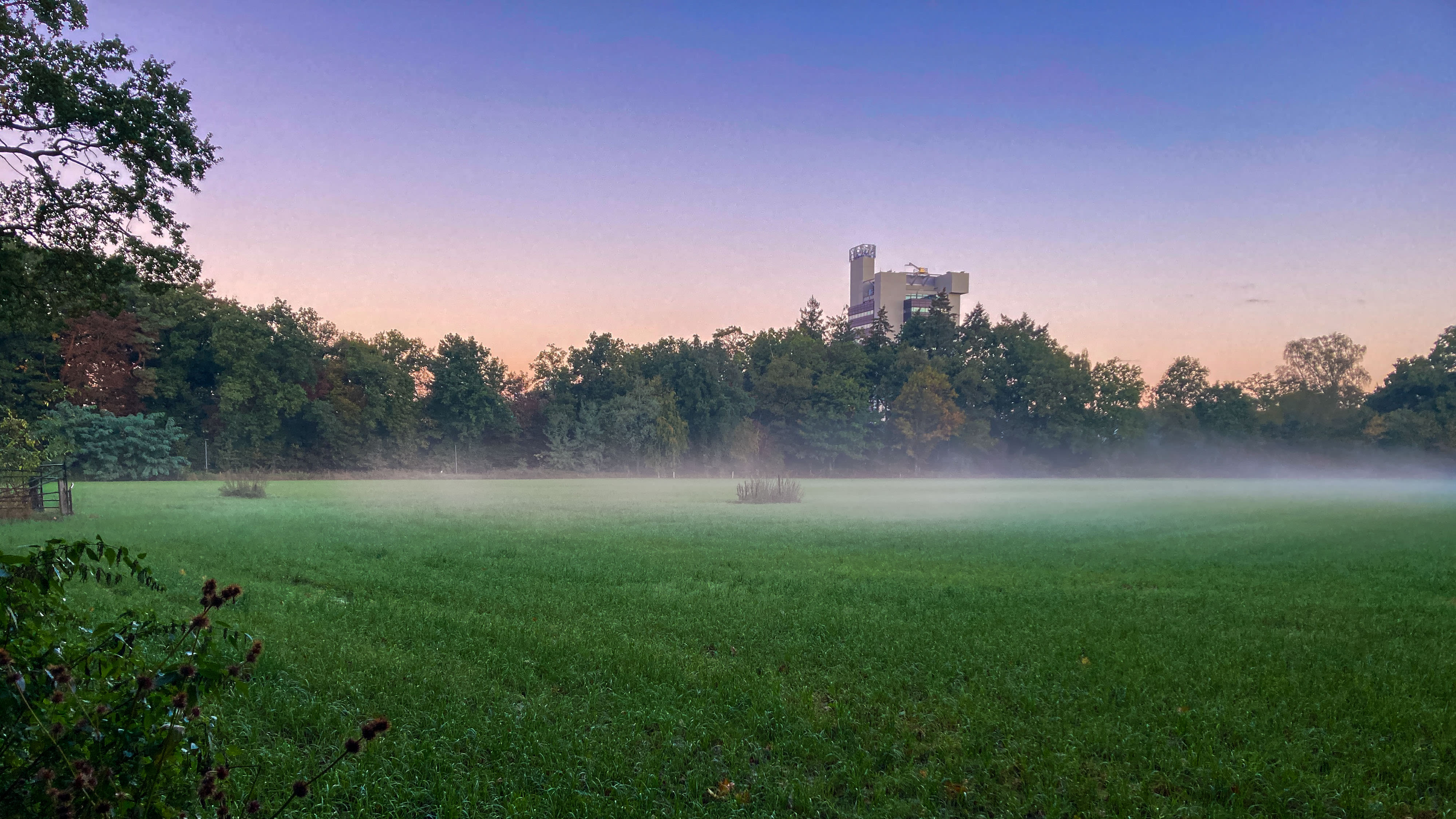 Ondiepe mistbanken bij zonsopkomst. Foto: René Wolf