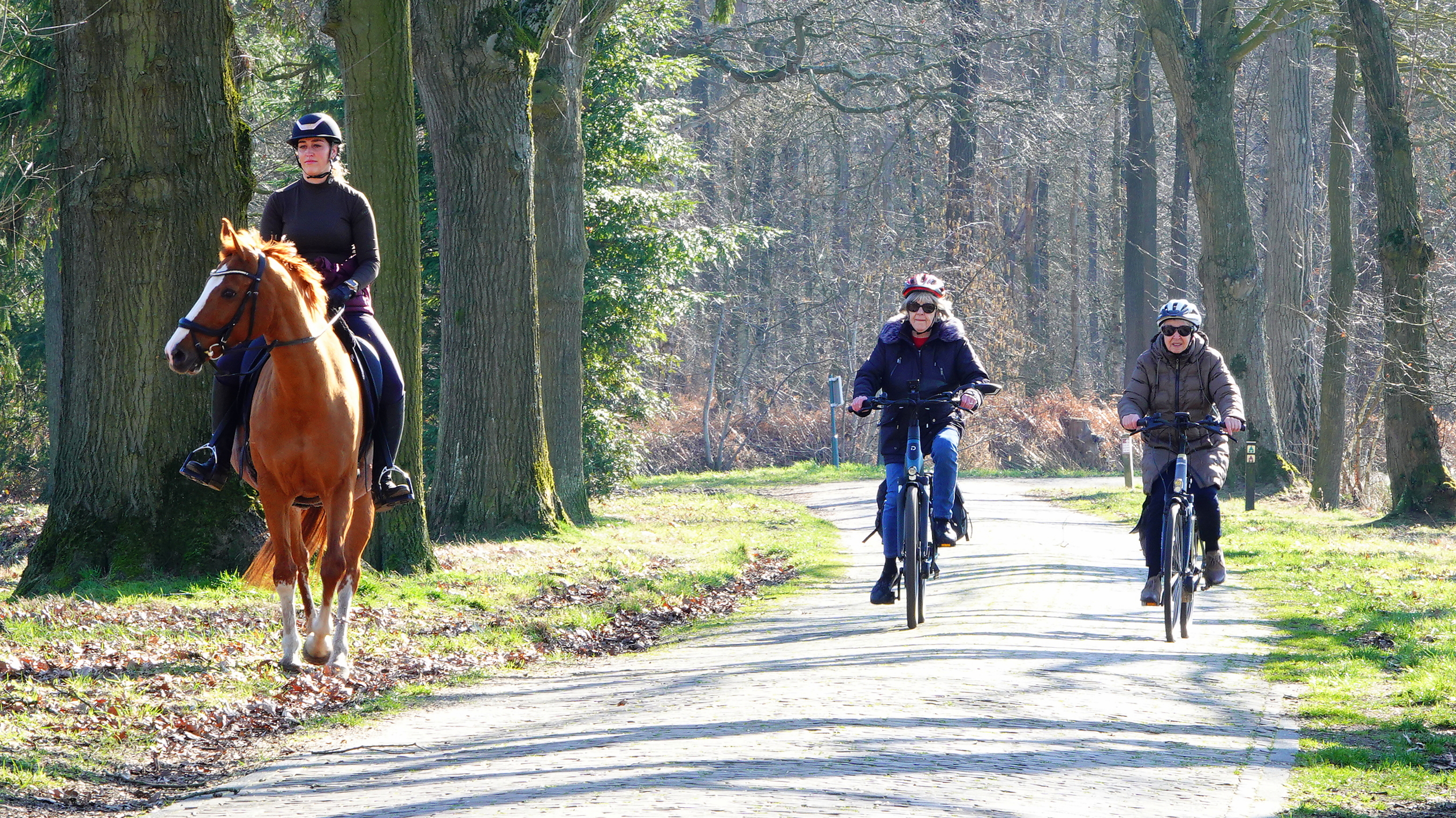 Maart 2026 was zeer zonnig, zacht en relatief droog
