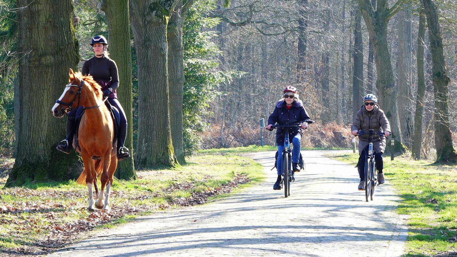 Zonnig weer in maart 2026. Foto: Ben Saanen