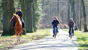 Maart 2026 was zeer zonnig, zacht en relatief droog