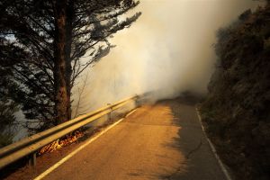 Rook van bosbranden schaadt ozonlaag, waarschuwen onderzoekers