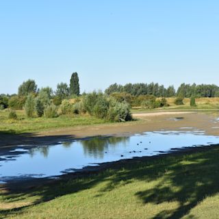 Droogte