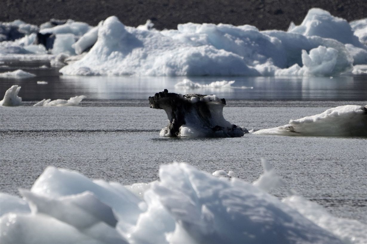 Scoresby Fjord, Oost-Groenland op 13 augustus 2023, toont een stuk vuil ijs in de vorm van een beer op drift. Foto: ANP / AFP / Olivier Morin.