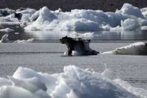 'IJsvrije' zomers voor noordpoolgebied al binnen tien jaar 