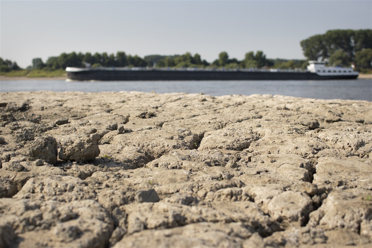 De bodem van de oever van de Rijn is gescheurd door de droogte. Beeld: ANP / Jasper Juinen