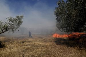 Bosbrand bij Athene aangewakkerd door harde wind