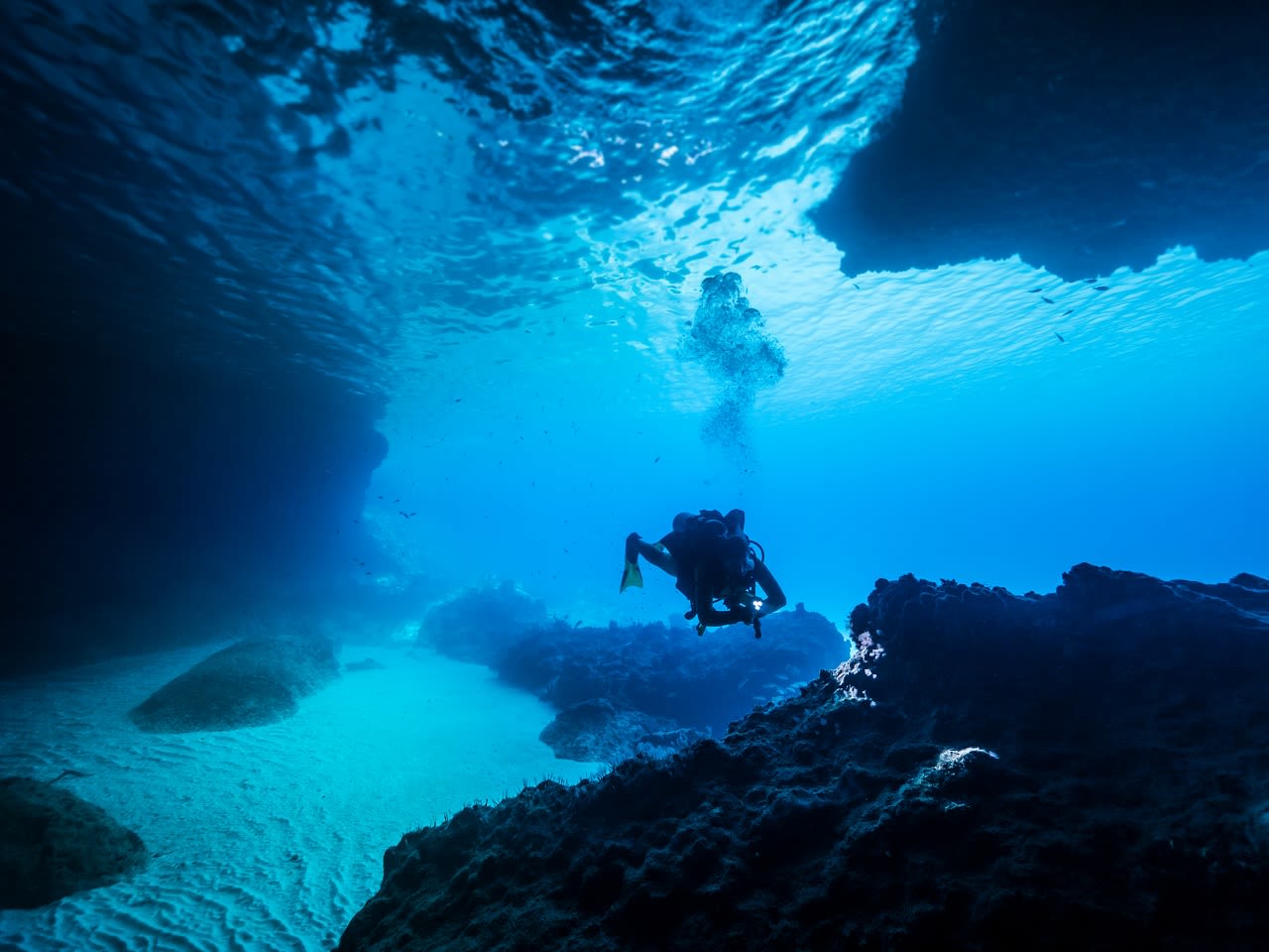 Onderwatergrot Curaçao. Foto: Adobe Stock / NaturePicsFilms
