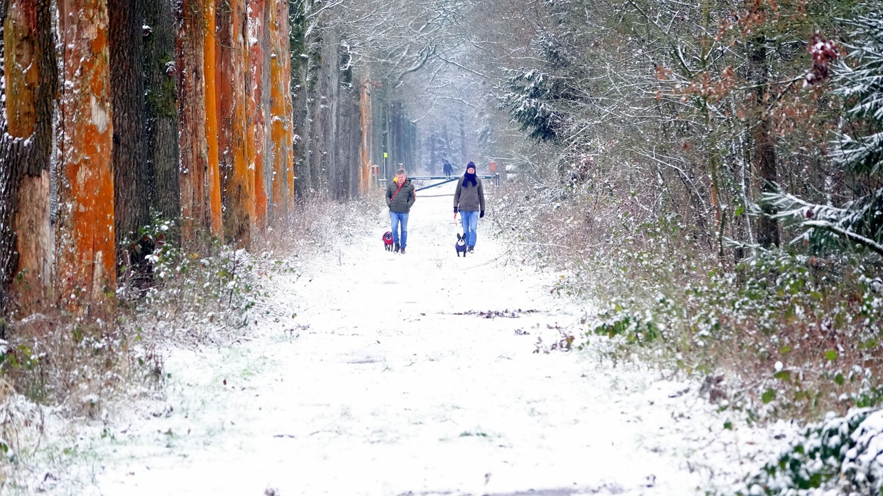 Dit is normaal weer in februari