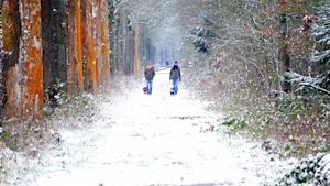 Dit is normaal weer in februari