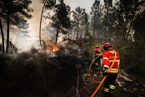 Bosbranden teisteren Frankrijk en Portugal