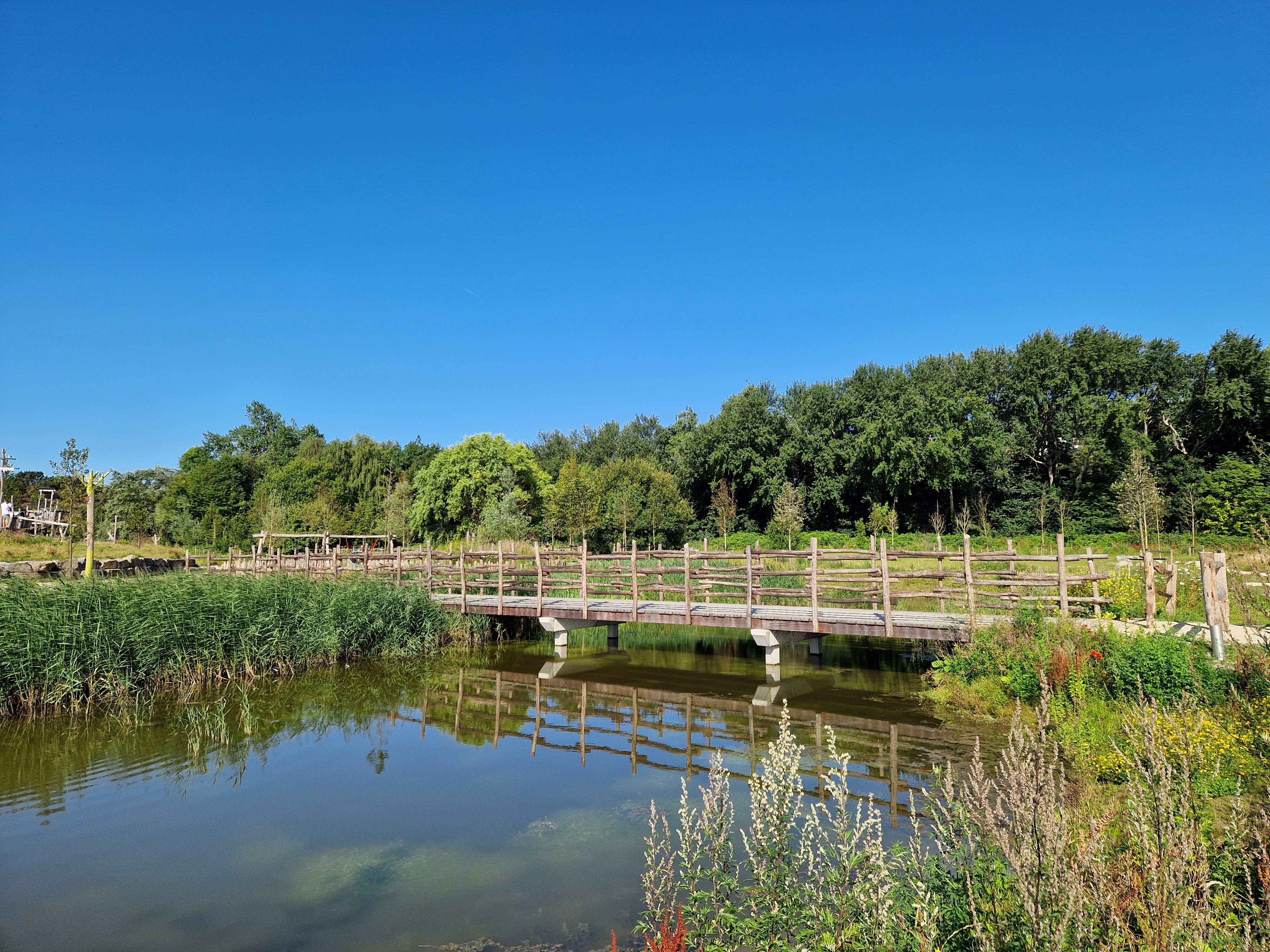 De zon schijnt flink deze week. Foto: Irma Booij