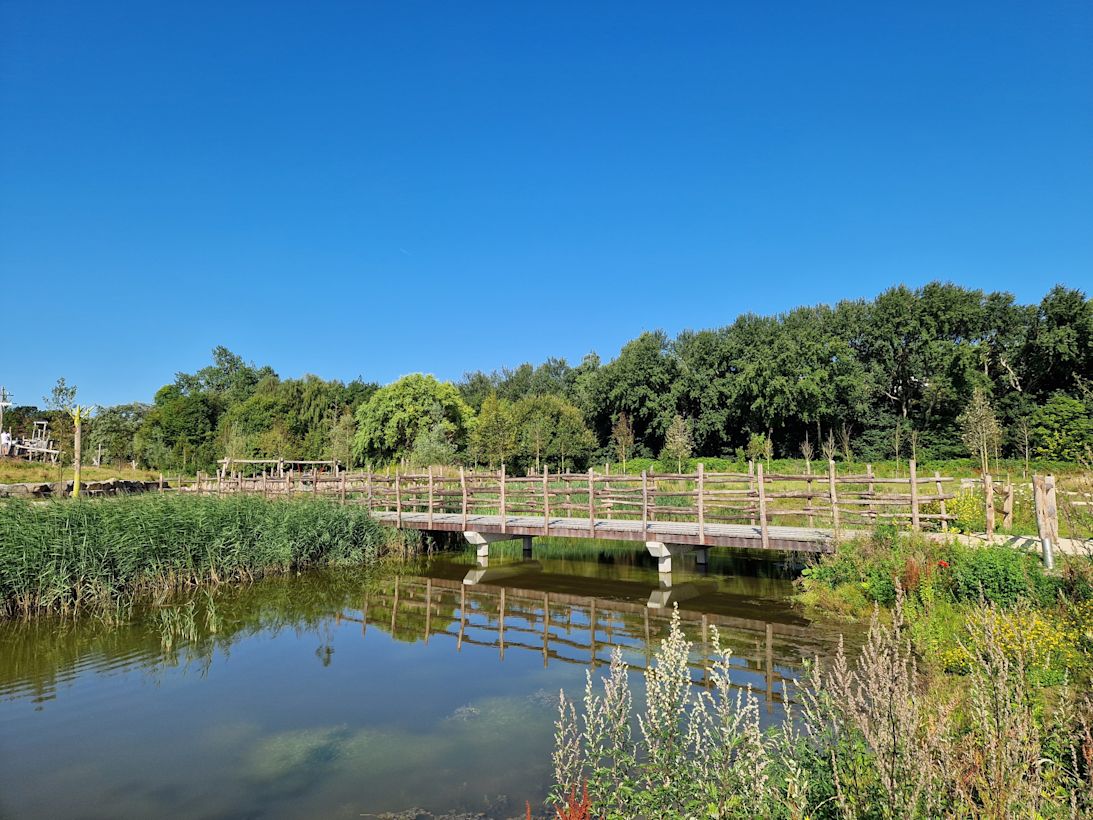 De zon schijnt flink deze week. Foto: Irma Booij