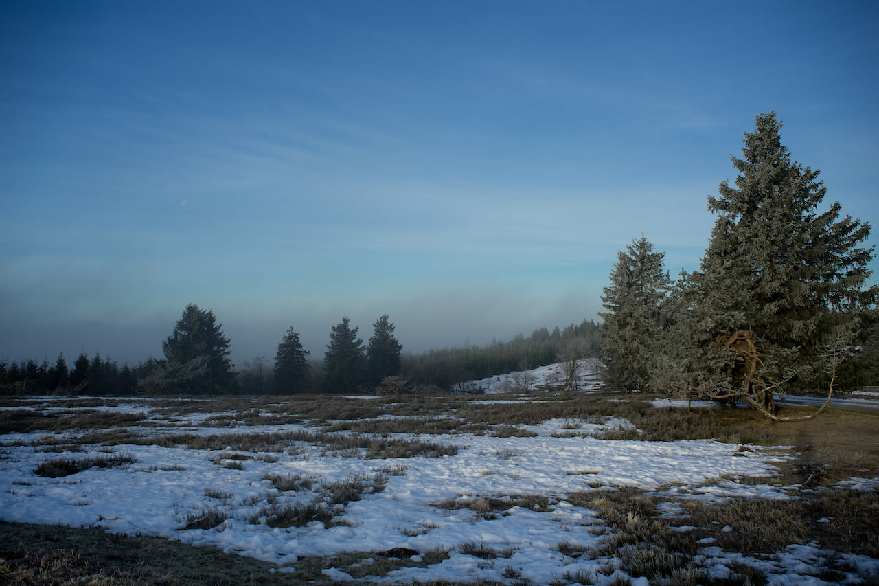 Sauerland - Dun laagje sneeuw - Wintersportvakantie Duitsland