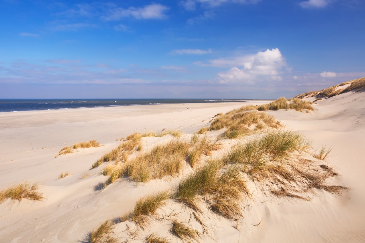 Het strand van Terschelling. Foto: Adobe Stock / sara_winter