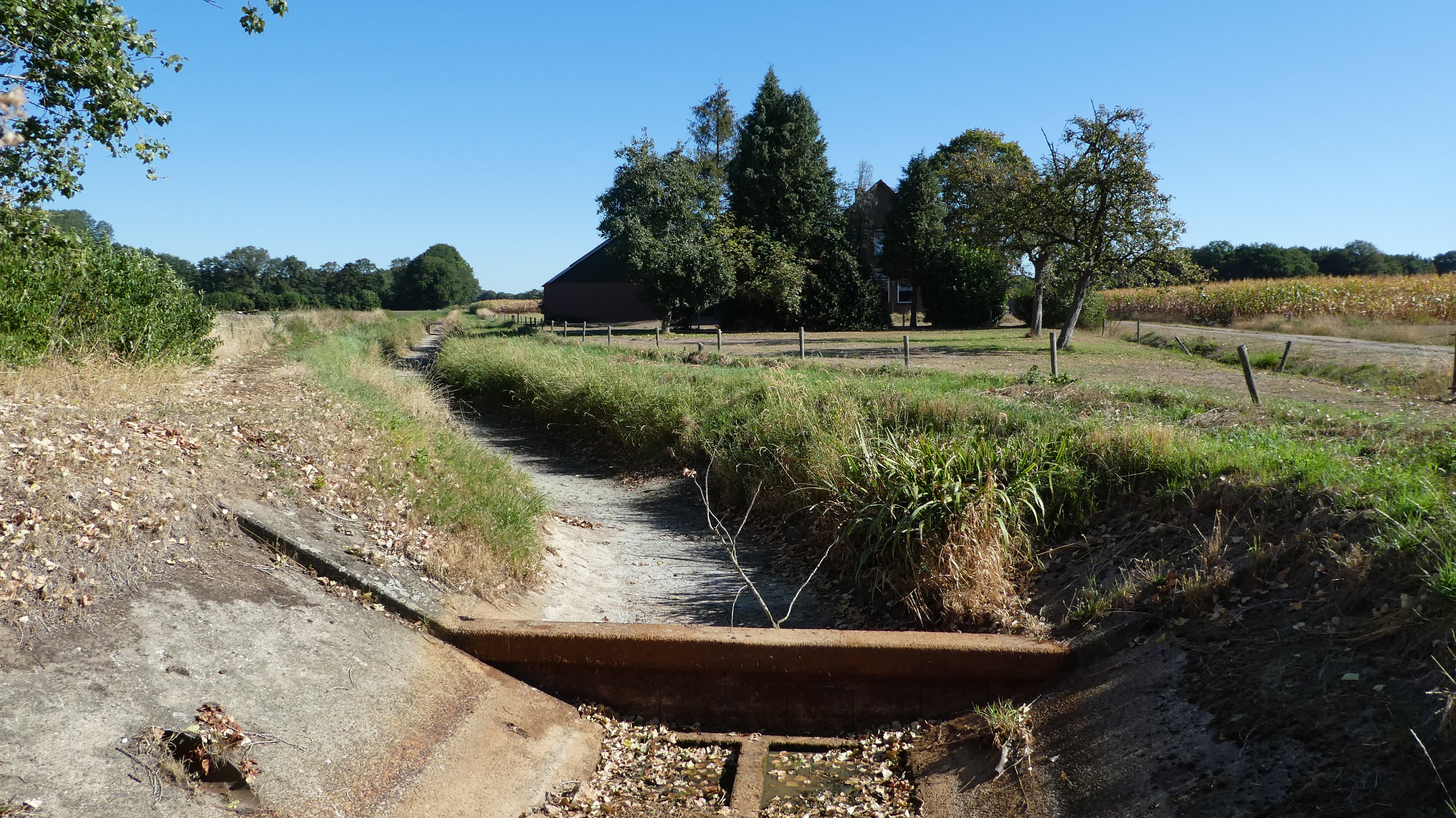 Droogte in 2022. Foto: Willy Bonnink-Naves