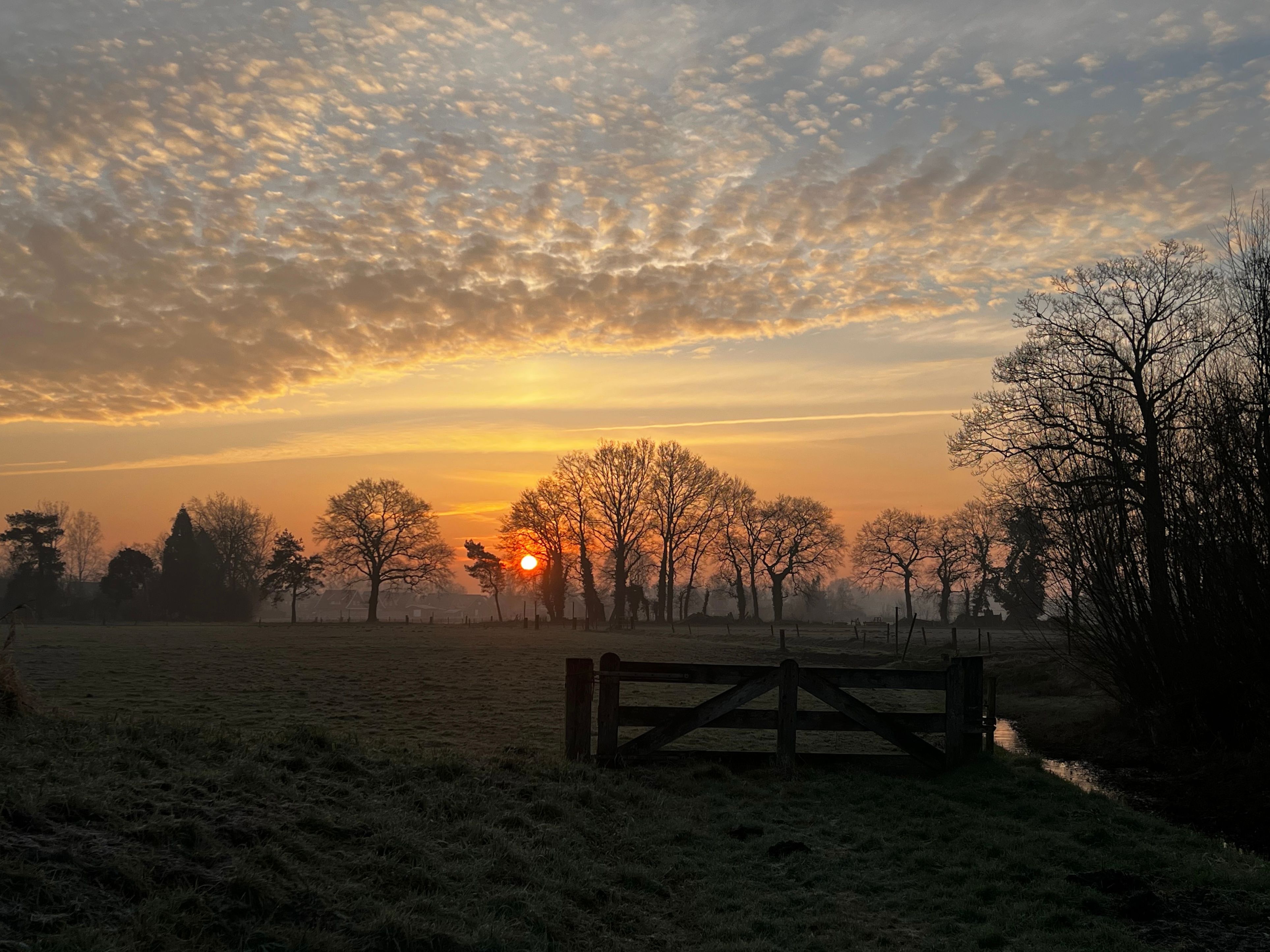 In de loop van de week maken wolkenvelden ruimte voor perioden met zon. Foto: Mireille Bon