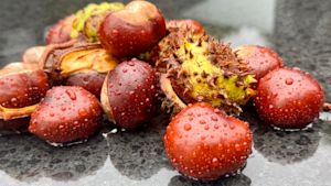 Weekverwachting: wisselvallig begin van de herfst