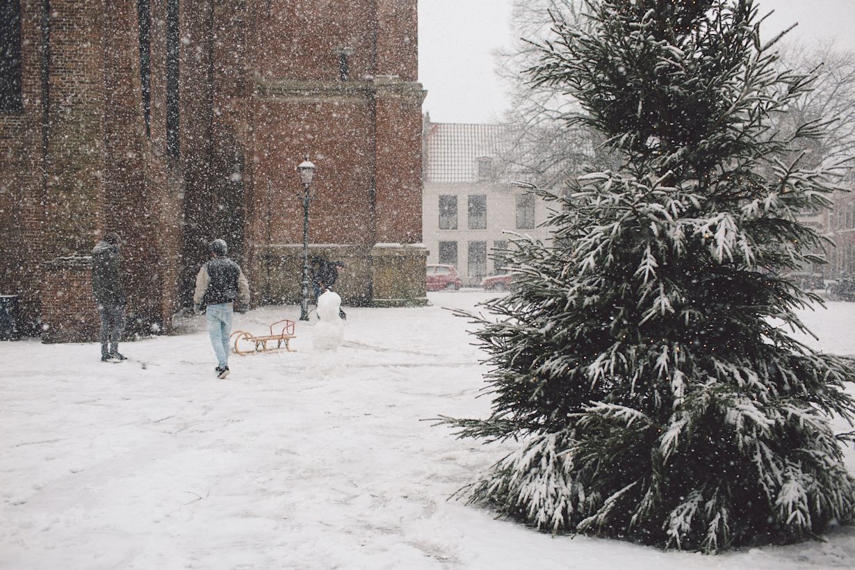 Witte kerst. Foto: AdobeStock / cristian bortes / EyeEm