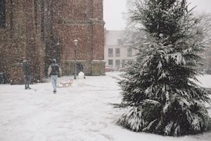 Zo groot is de kans op een witte kerst