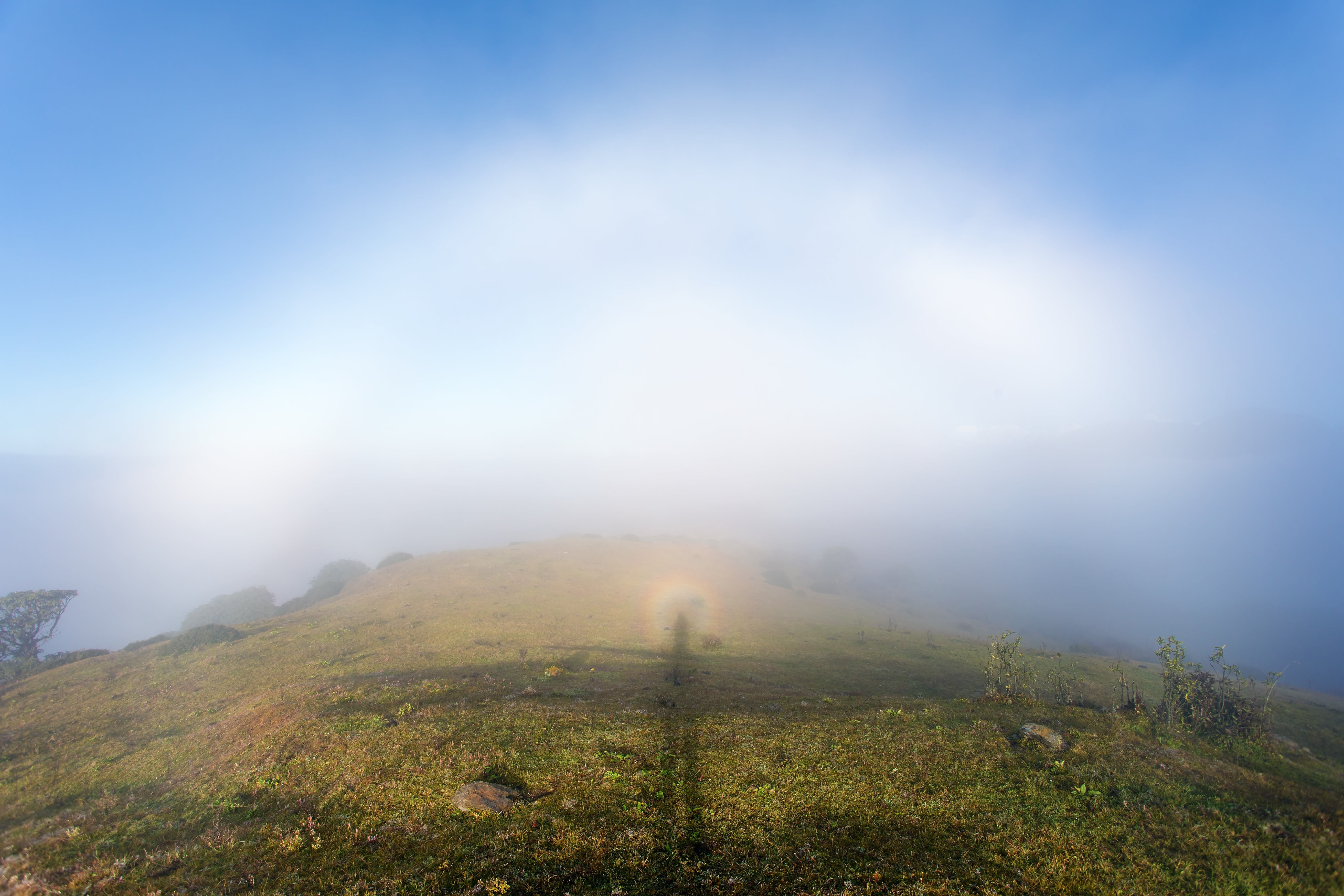 Het vegerige witte licht van de mistboog met in het midden een glorie. Foto: Adobe Stock / Daniel Prudek