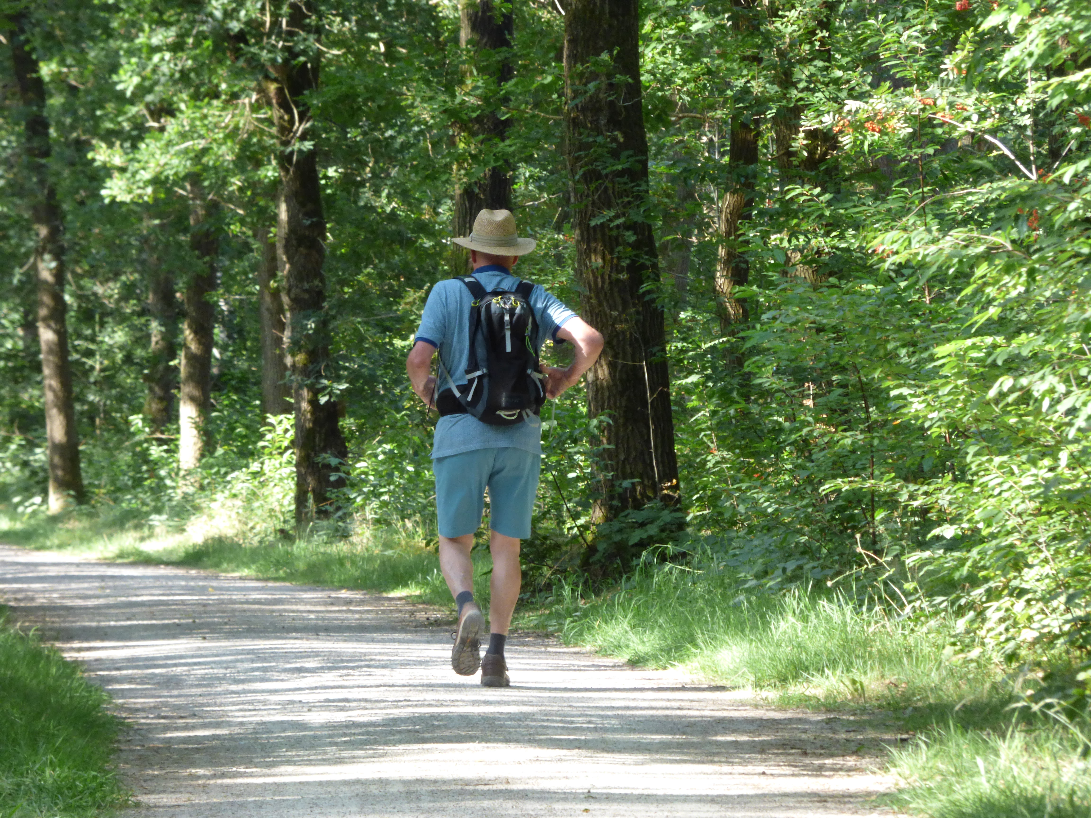 Zaterdag wordt het lekker wandelweer. Foto: Chris Meewis