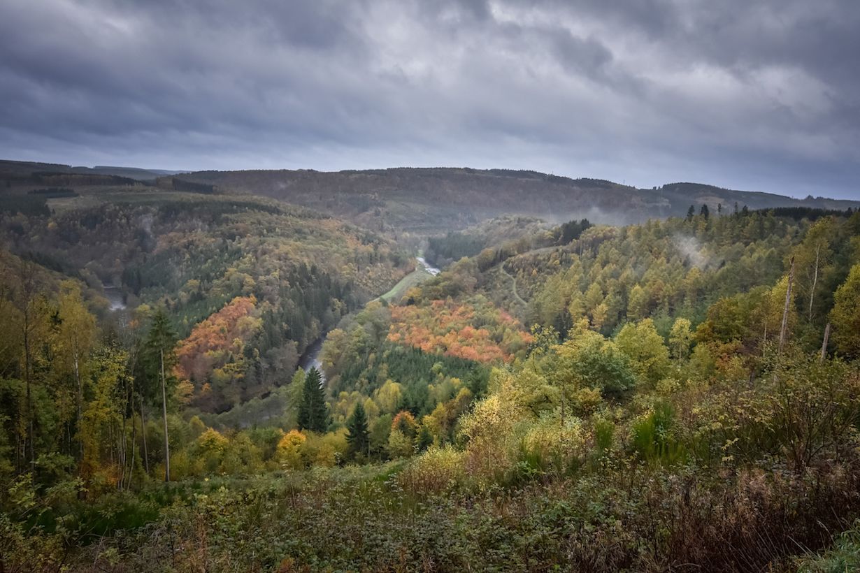 Mist Ardennen - Ourthe vallei - België - Herfstweer
