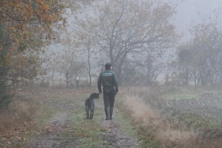 Vandaag bleef de maximumtemperatuur voor het eerst onder 10 graden in De Bilt. Foto: Jos Hebben