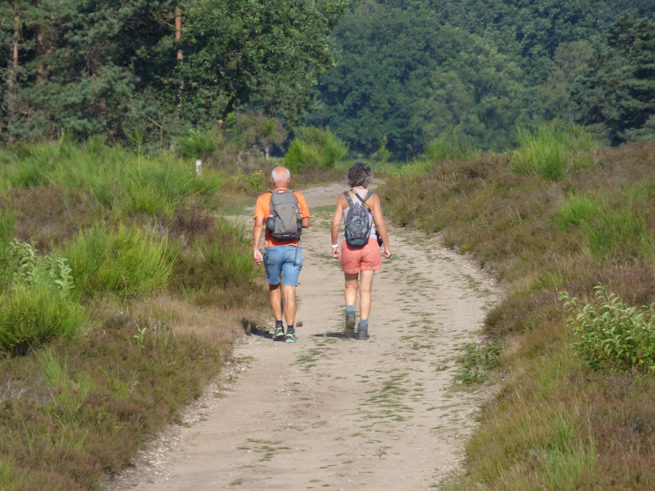 recordwarme-eerste-helft-zomer-was-zeer-zonnig