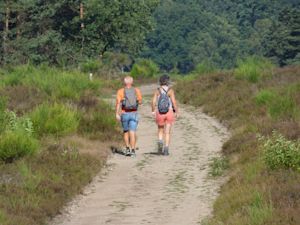 Eerste helft van de zomer recordwarm en zeer zonnig