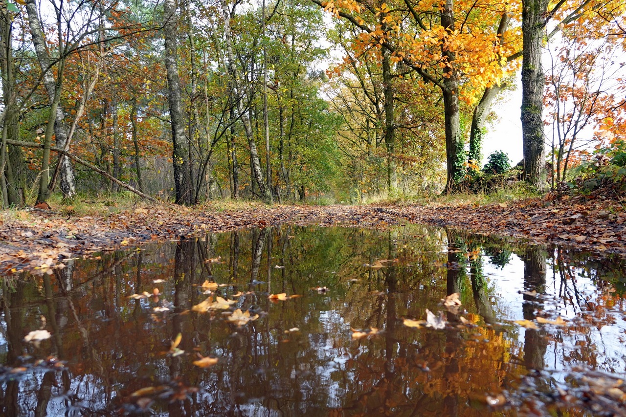 natte oktober België