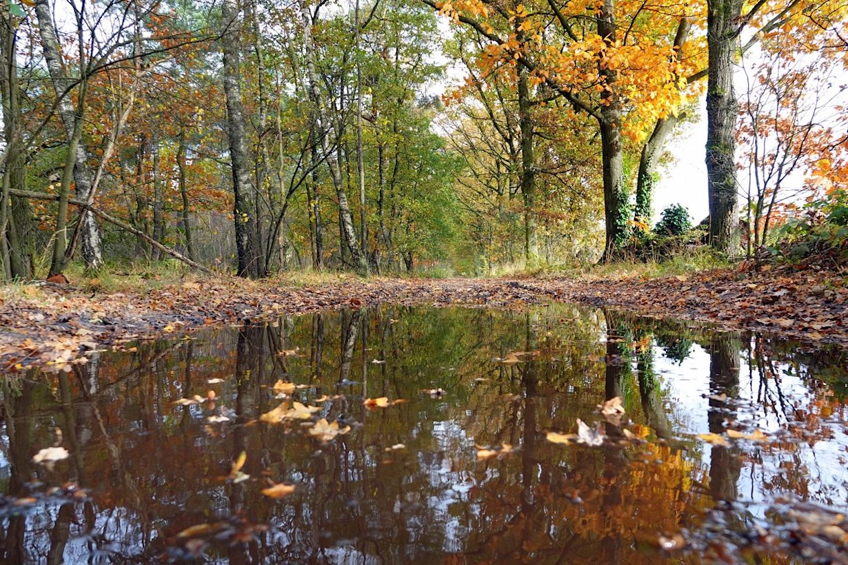 natte oktober België
